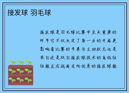 接发球 羽毛球